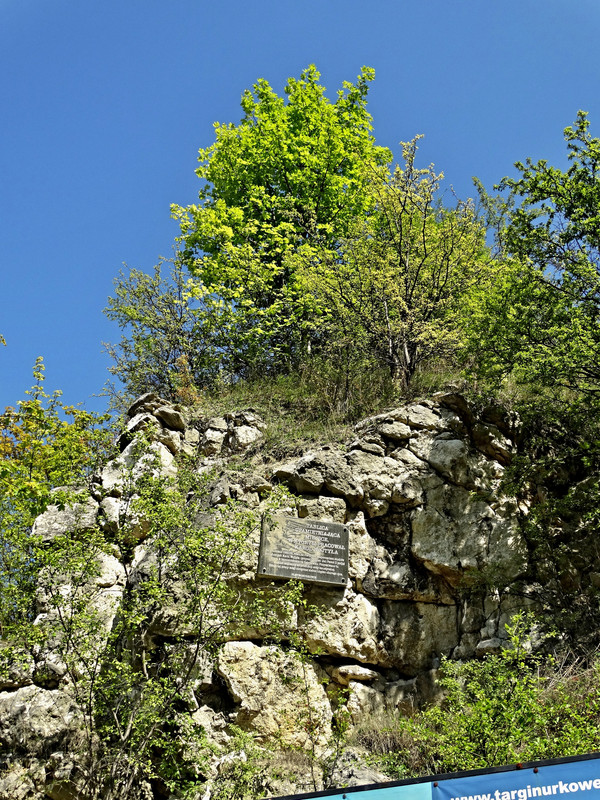 DSC01162