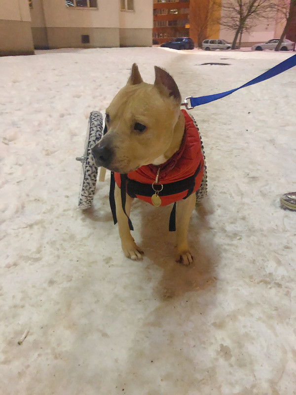 FEB834E7-AC62-49CD-8B85-A6C5EA353770