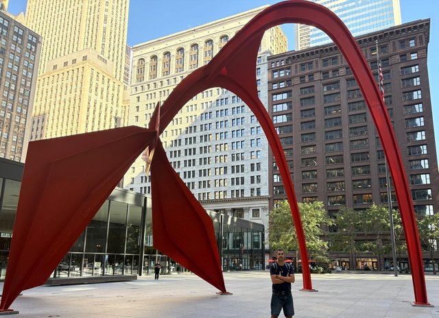 Caminando por Chicago: Esculturas, the Bean, lugares de películas y Torre Willis - Boston y Chicago (3)