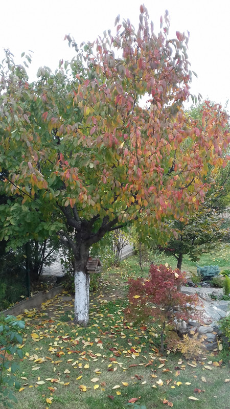 20201110_104120