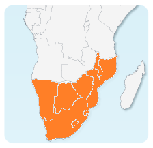 [Kép: D-l-Afrika.png]