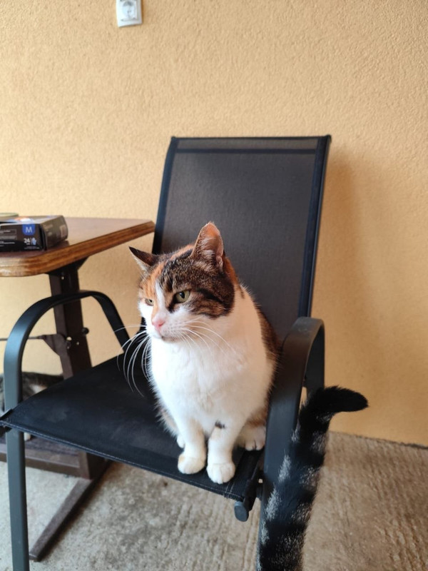 photo 4 2026 04 24 10 13 31