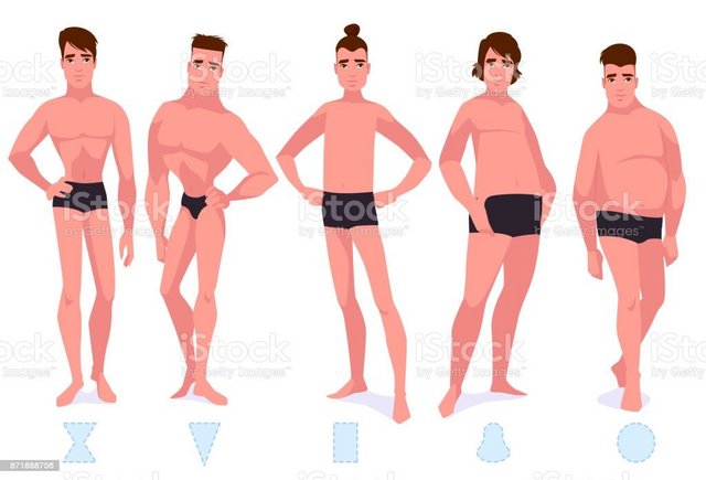 [Image: set-of-male-body-shape-types-five-types-...888756.jpg]