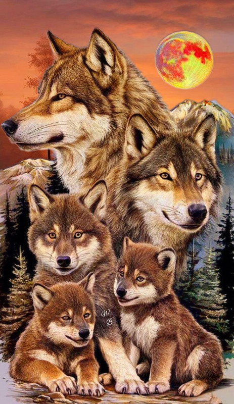 T P8 41 L0C D0A M M 2YE