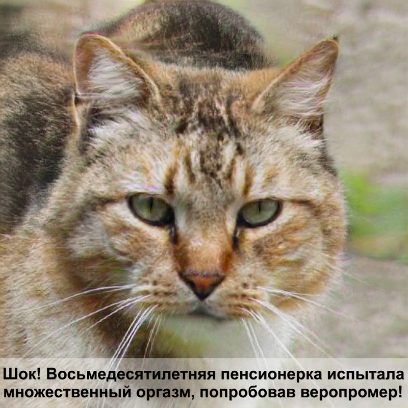 брит для стерилизованных кошек