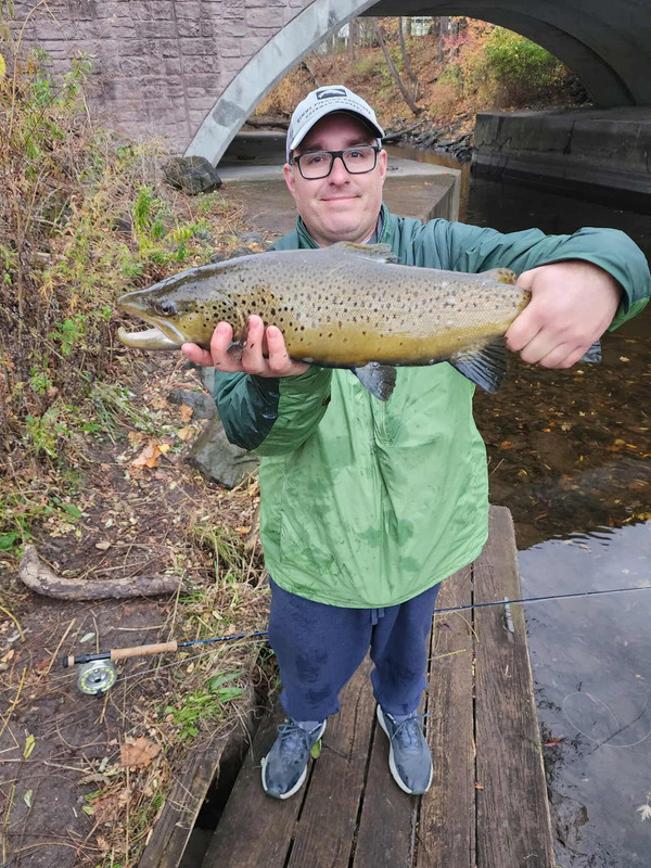 a52d20a673b5954def59e1563ea3fb96