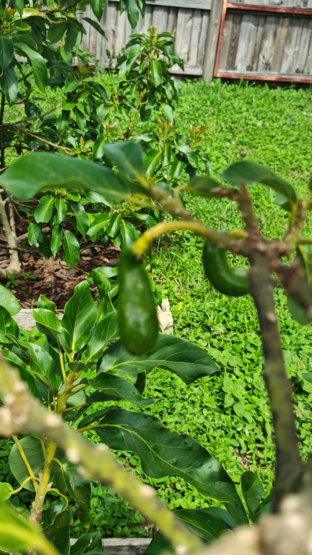 IMG_20250726_110917358