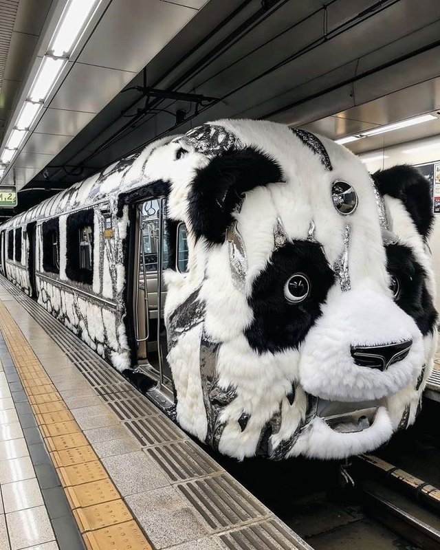 B-W-train.jpg