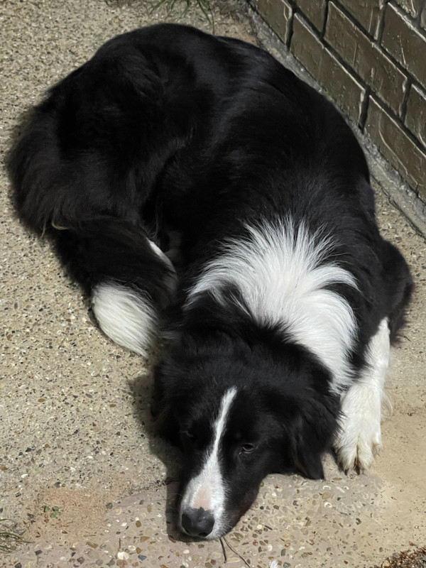 4449E676-5993-4317-AE1E-A3BF2FDC3E2B