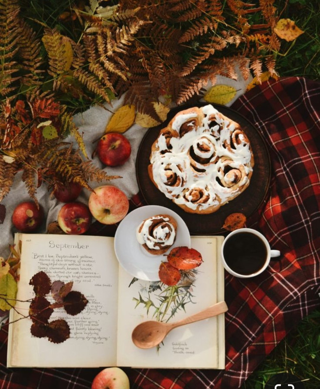 Screenshot_20230909_233404_Pinterest