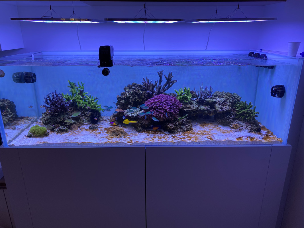 822A8E86-FCDB-4CBB-9586-12A67A0B0E3A