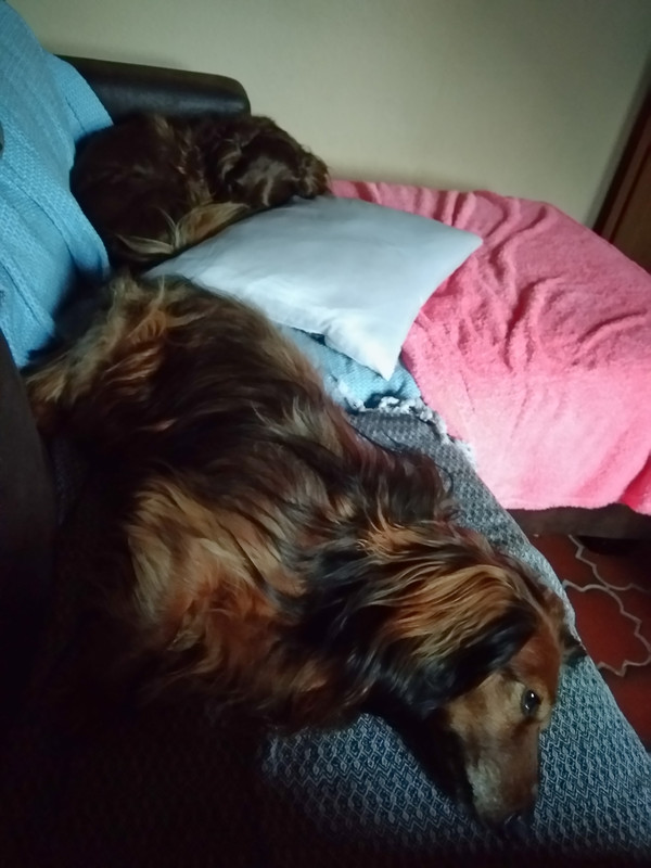 [Image: IMG-20210101-160543.jpg]