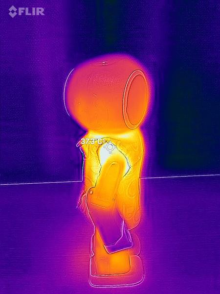 FLIR_20260129_122850_036.jpg