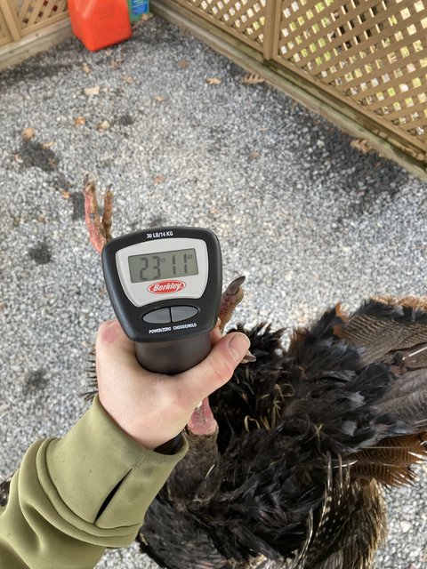 C42A4A3D-3086-49A4-B81A-A0C5C4E634B7