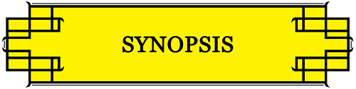 Synopsis.png