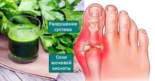 [Изображение: photo-2025-12-29-05-50-30.jpg]