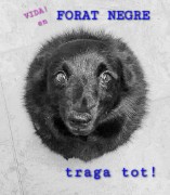 Imatge