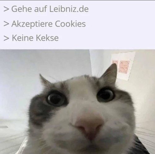 vv.jpg