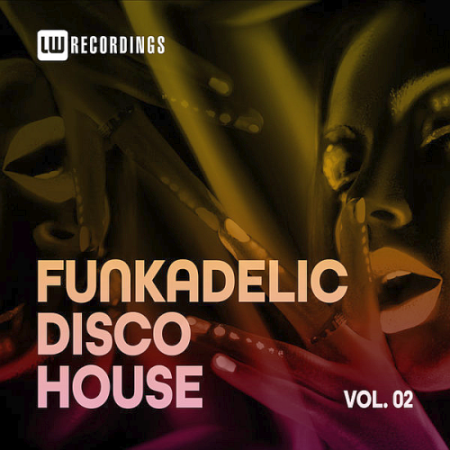 VA - Funkadelic Disco House 02 (2020)