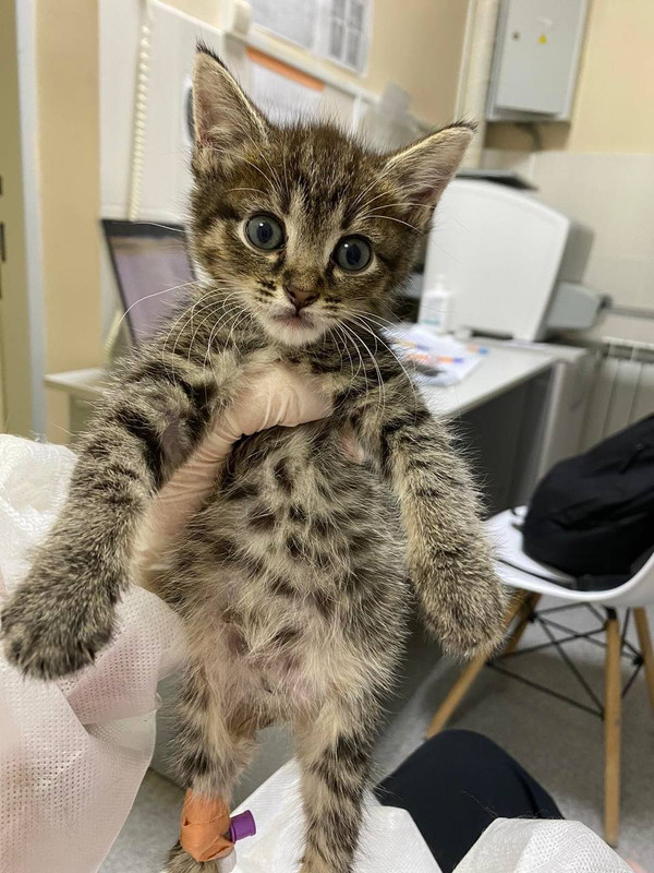 495D154E-94F4-4D74-AA88-36BF2830A254