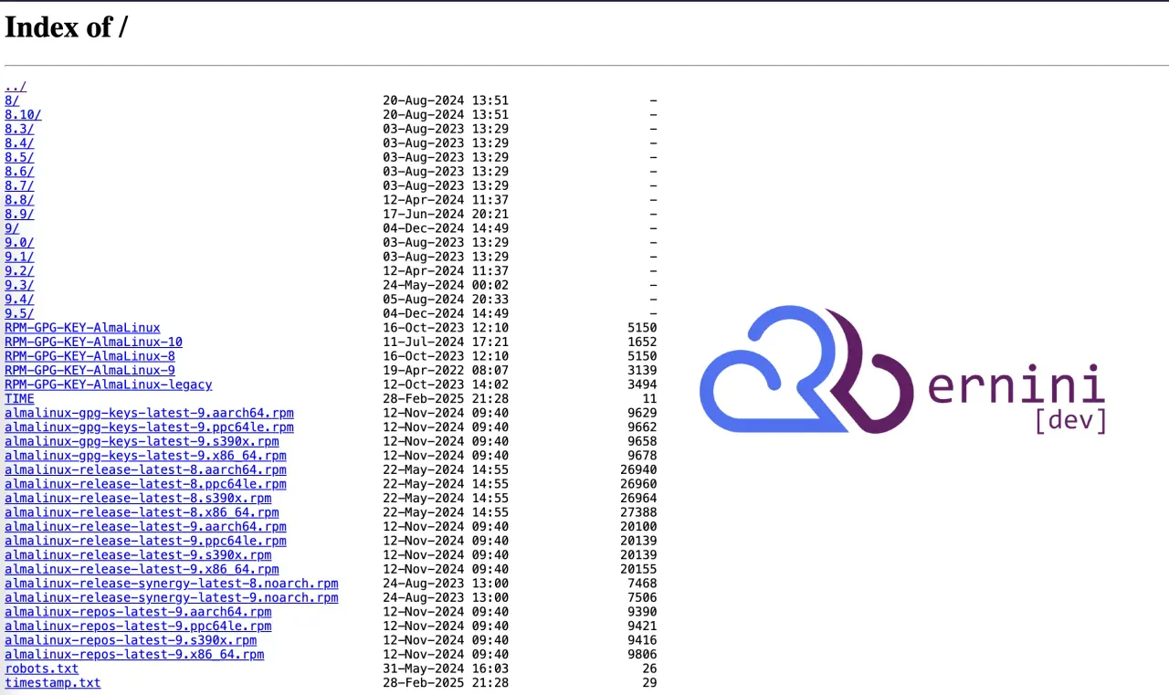 Mirror de Almalinux para Bernini.DEV