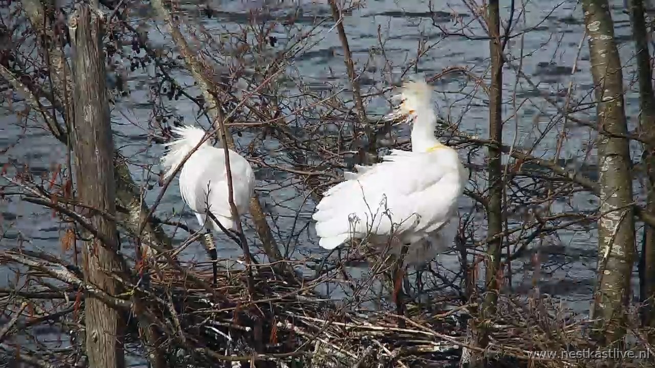 snapshot 2026 03 26T101859 333