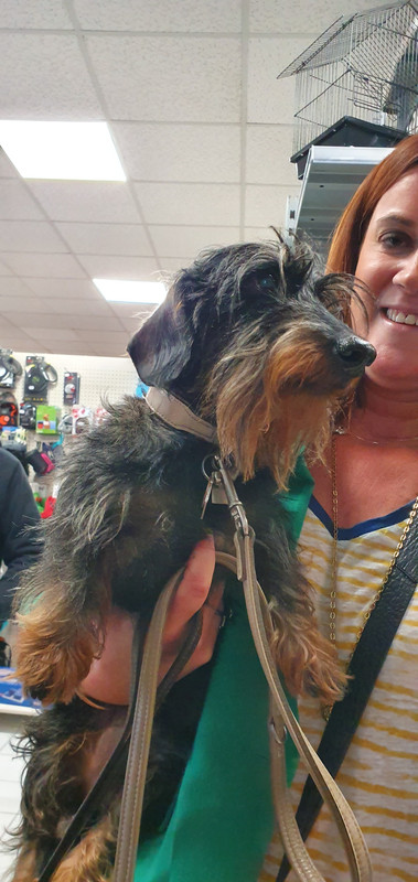 [Image: 20221015-155018.jpg]