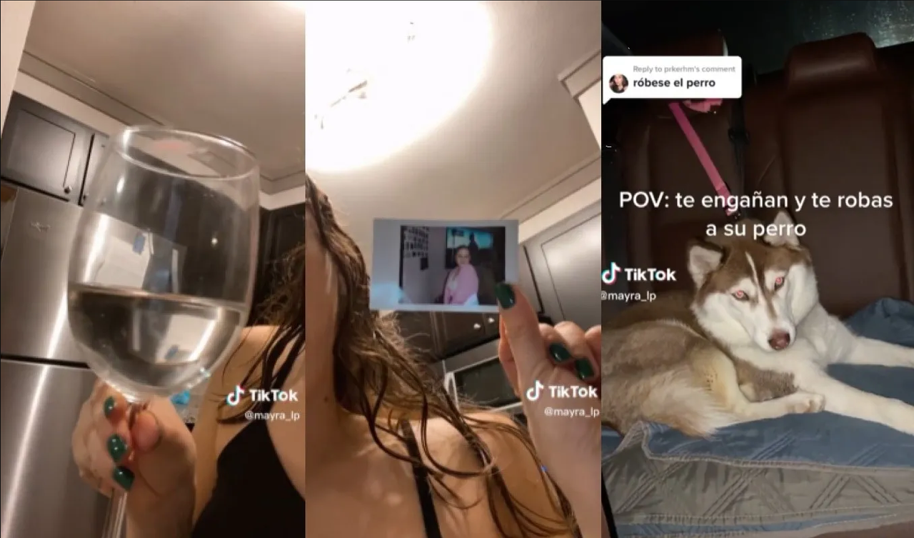 Joven descubrió la infidelidad de su novio gracias a su perro