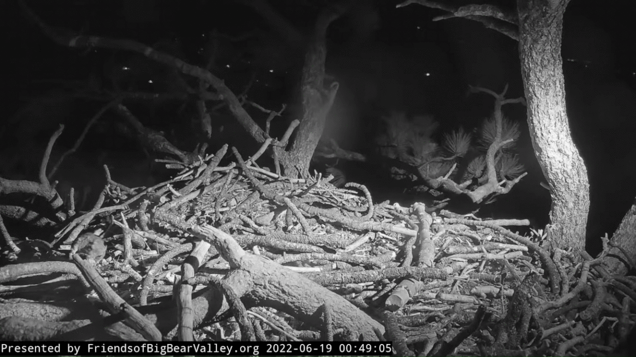 Webp.net-gifmaker (1)