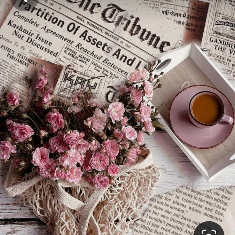 Screenshot_20230819_230717_Pinterest