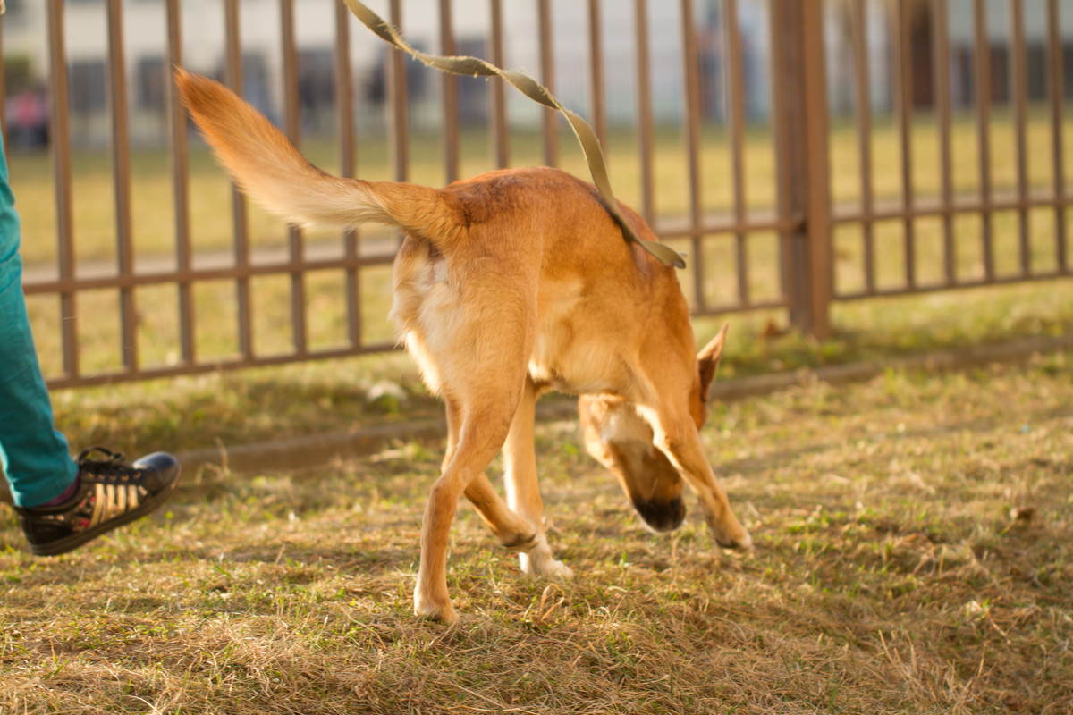 без имени-5322