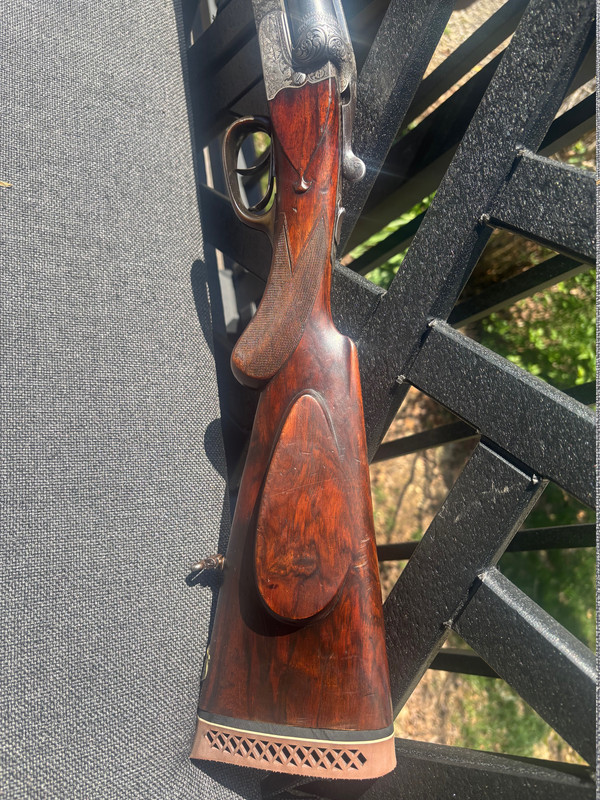 [Linked Image from i.postimg.cc]