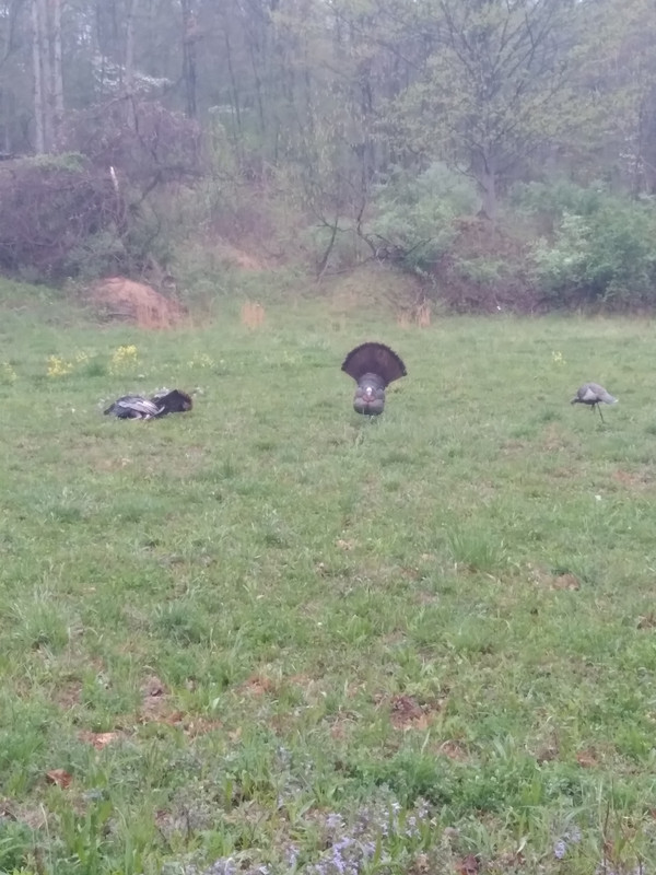 2DF0FAF8-9D99-4016-BE69-42D1CB704526