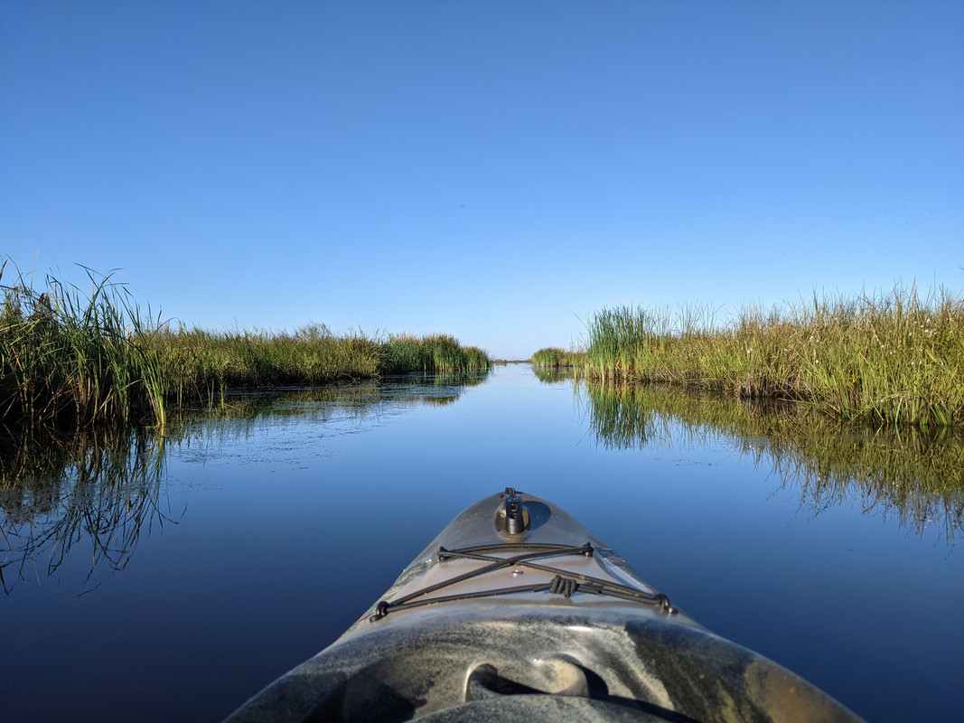 PXL_20211031_135220516