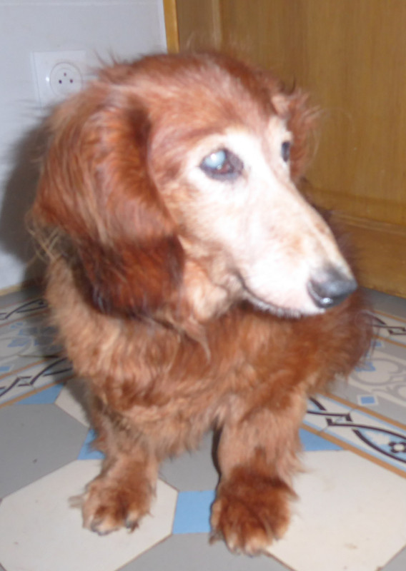 [Image: P1030780.jpg]