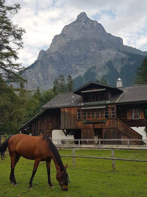 OESCHINENSEE- PASEO POR KANDERSTEG - VOLVEMOS A SUIZA! + PUY DU FOU, ORADUR SUR GLANE, SAINT EMILION...Y ASTURIAS (12)
