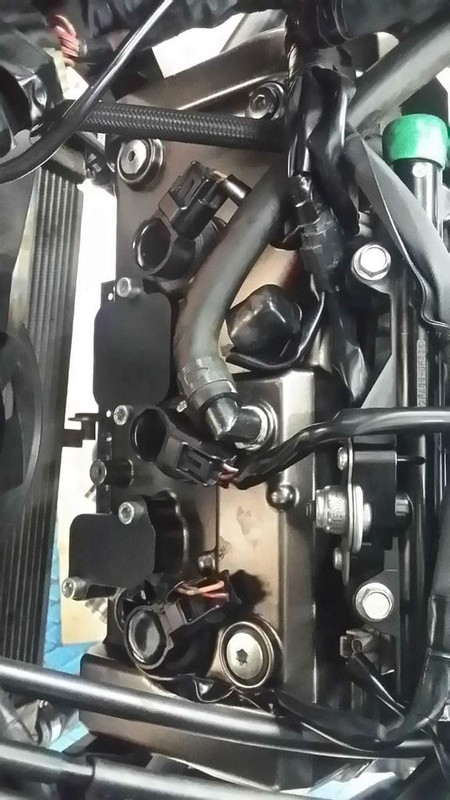 received_1058865747606472