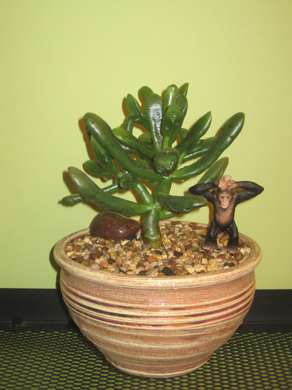 Ред Хорн Три 09.02.2023 г