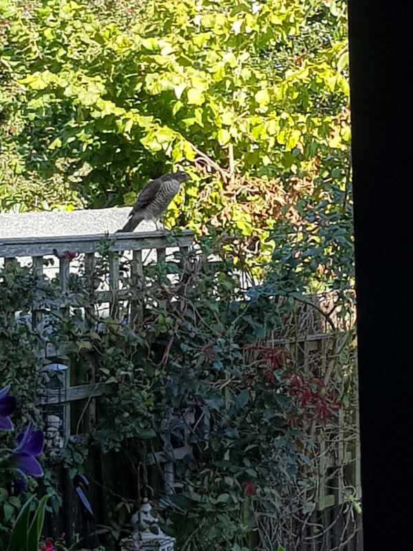 20180925_150044.jpg