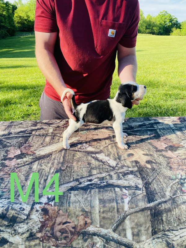 C786DF22-E98F-4A2D-AFD5-931D2185043E