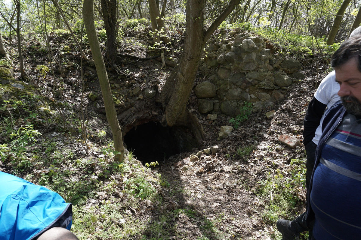 20.09 - DSC07997 (zbychowiec)