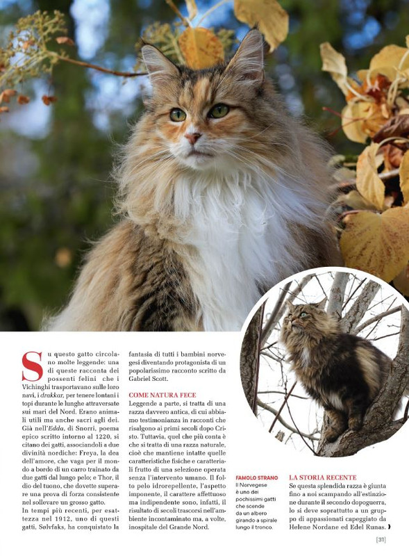 Ga Ma Apr-Mag 2025 (4)