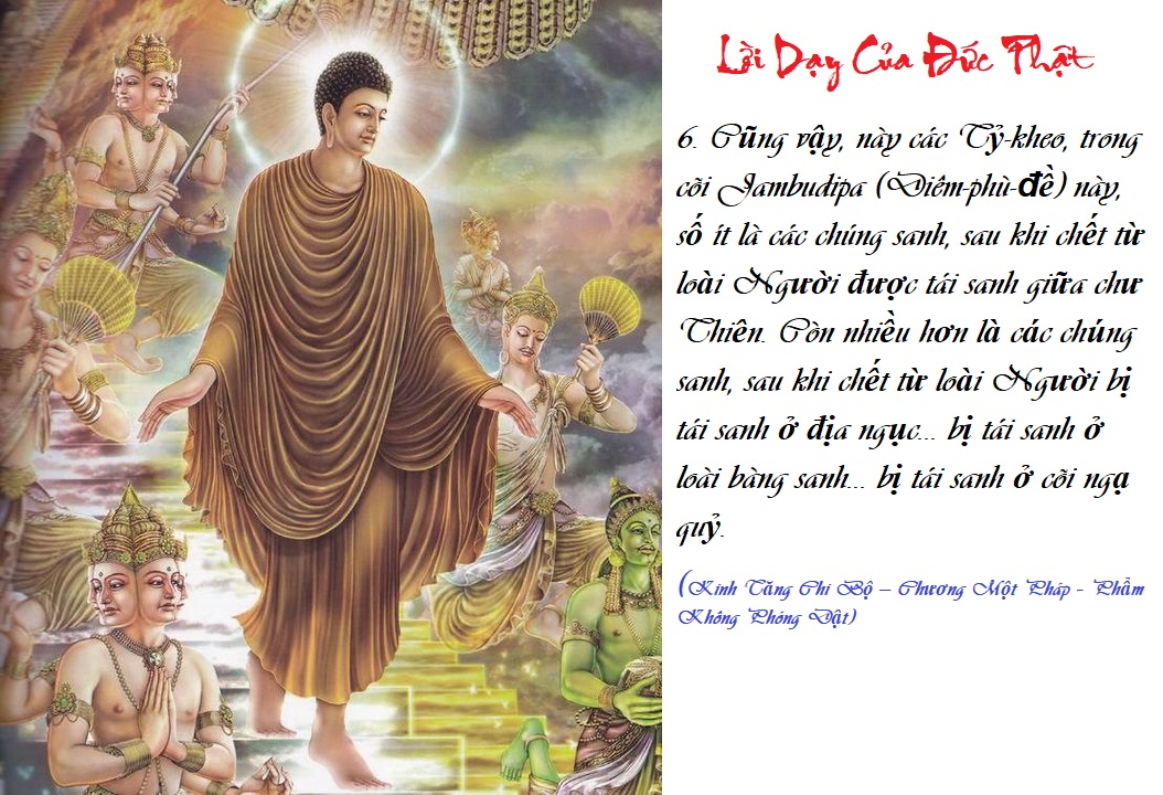 [Image: L-I-D-Y-6-TCBK1.jpg]