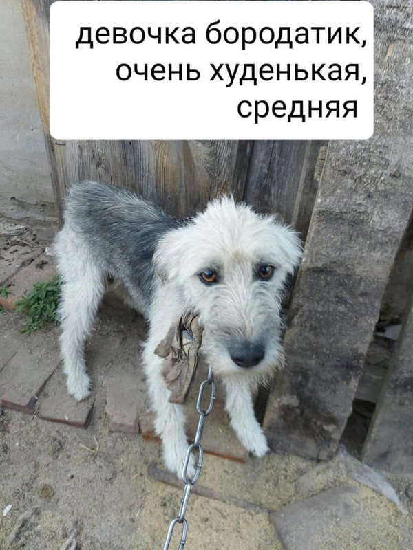 875A5E63-9F3E-4243-94A0-7208F9E28079