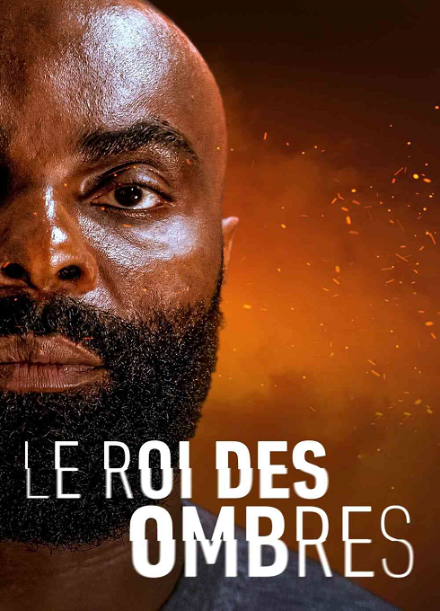 Król cieni / In His Shadow / Le roi des ombres (2023) MULTi.1080p.NF.WEB-DL.x264.DDP5.1.Atmos-K83 / Lektor PL