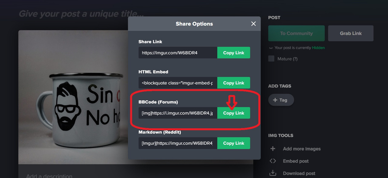 Opera Instantánea_2024-07-01_080957_imgur.comultima