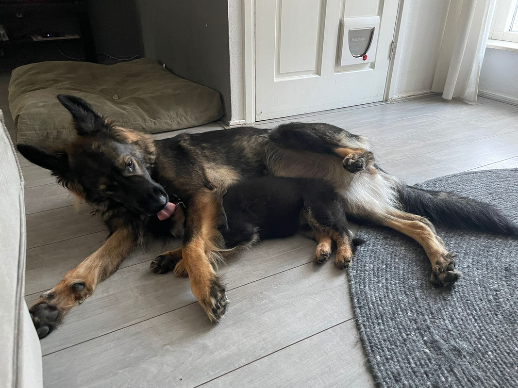 497A3D6C-33CE-499D-BB75-465DB6A3338F