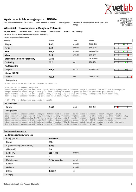 Stowarzyszenie Beagle w Potrzebie (BG1674)-2
