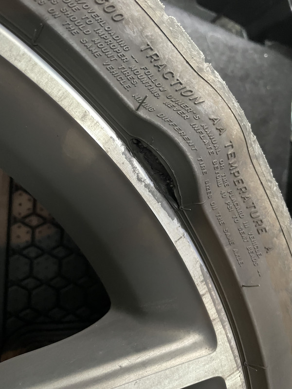 305D3D03-00F3-41B1-82D5-1EF1B1B8929E