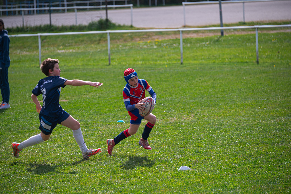 tournoi-de-latlantique-2026-adonis-griffon-39-55181694635-l